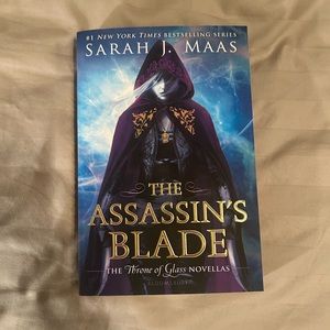The assassins blade paperback book